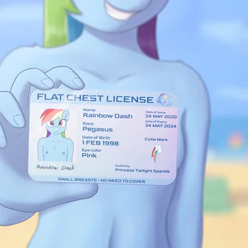 Flat Chest License